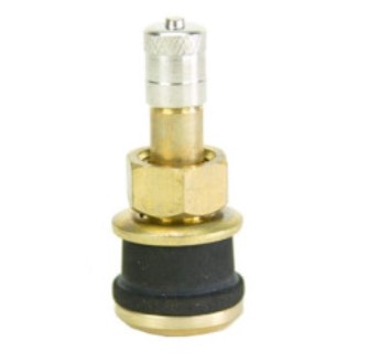 TR501 Truck Tubeless Tire Valve | Best Distributing,LLC